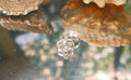 Simple Vertical Peridot Ring (Size 7)